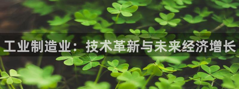 彩神vllⅰ购彩大厅：工业制造业：技术革新与未来经济增长